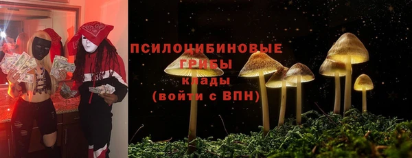 ALPHA PVP Алексеевка