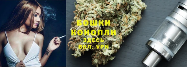 сатива Алексин