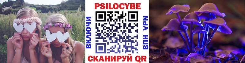Псилоцибиновые грибы Psilocybine cubensis  МЕГА маркетплейс  Апшеронск 